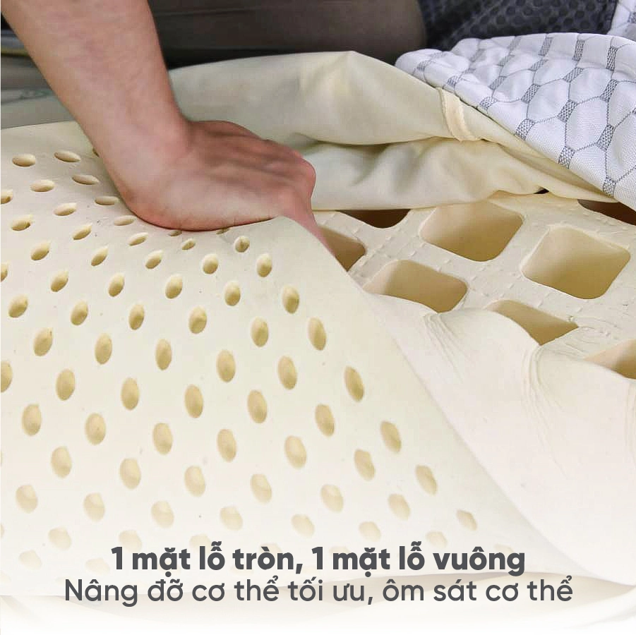 Nem cao su thien nhien tatana cool fres 1