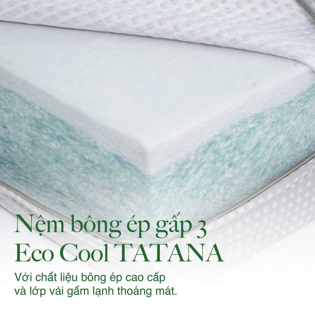 Đại Lý Nệm Tatana Đà Nẵng 8 Nệm bông ép gấp 3 Eco Cool Tatana bảo hành 10 năm