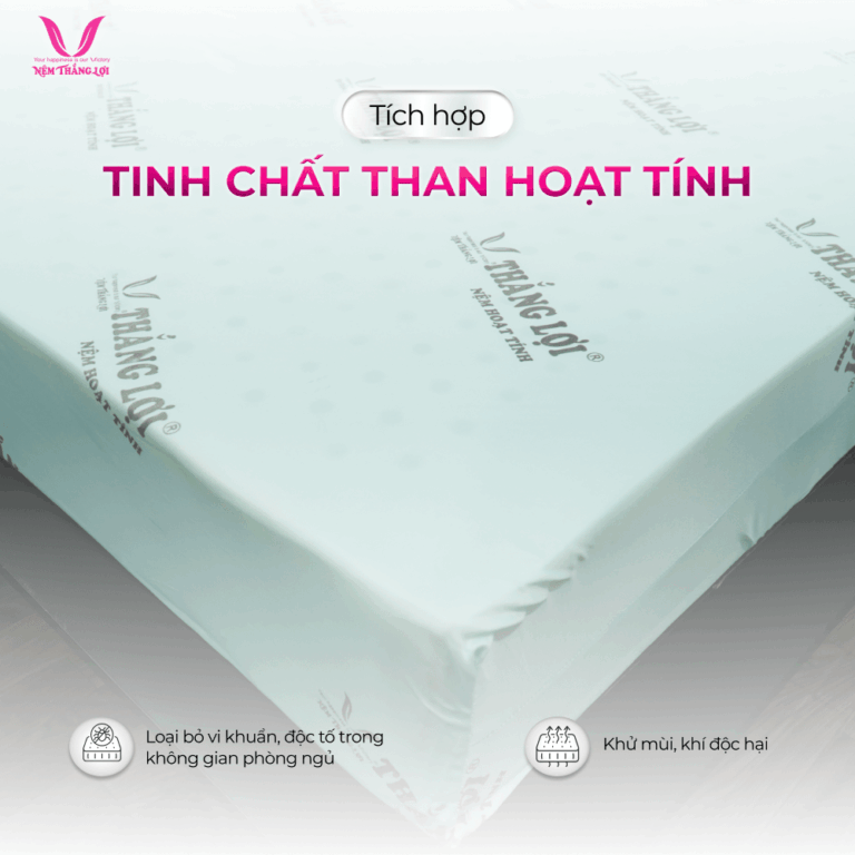 Nệm cao su non hoạt tính Thắng Lợi Giá Rẻ Đà Nẵng