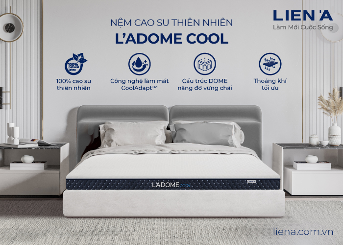 nem cao su ladome cool