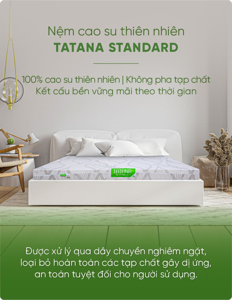 Đại Lý Nệm Tatana Đà Nẵng 5 nem cao su thien nhien tatana standard